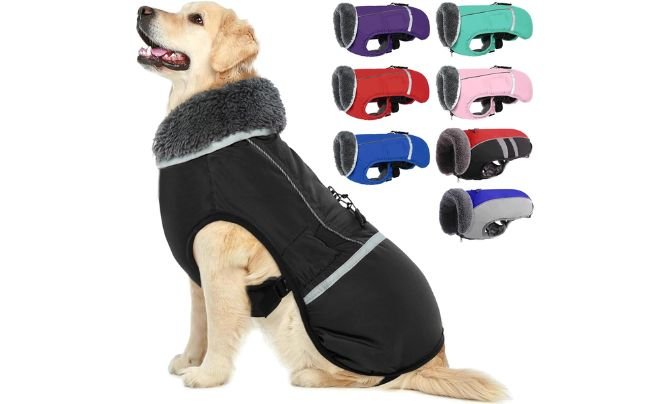 QBLEEV Warm Dog Coat Reflective Dog Jacket