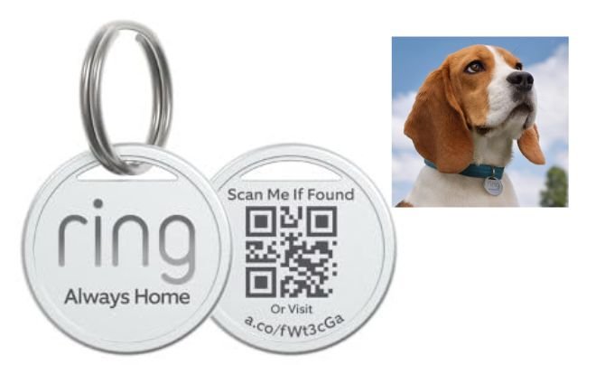 Ring Pet Tag with QR Code