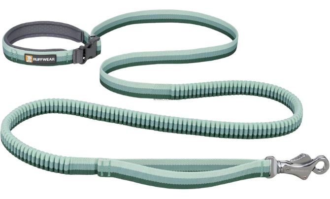 Ruffwear Roamer Bungee Dog Leash – Best Hands-Free Dog Leash for Running and Hiking