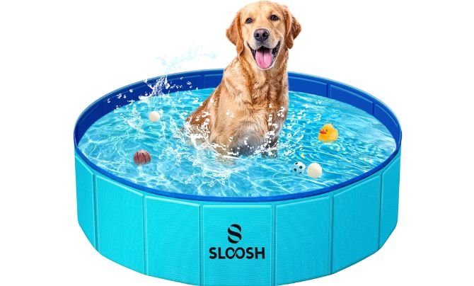 Sloosh Foldable Dog Kiddie Pool – Best Collapsible Dog Pool for Small Dogs and Indoor Use