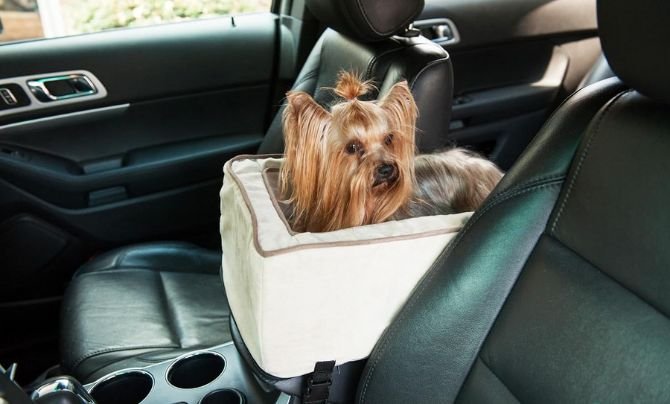Snoozer Center Console Dog Car Seat (Large)