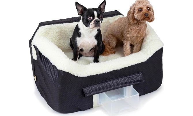 Snoozer Lookout II Car Seat