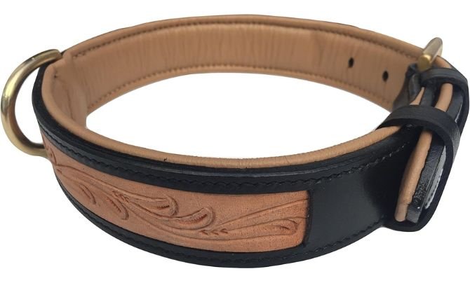 Soft Touch Collars Leather Padded Dog Collar, Custom Handmade Hand-Tooled