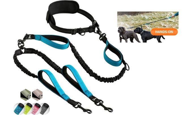 SparklyPets Hands-Free Double Dog Leash – Best Leash for Walking Two Dogs