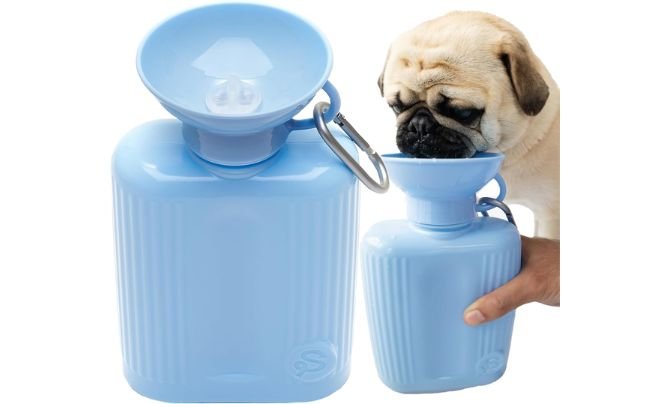 Springer Dog Water Bottle – 44 oz Sky Blue Review