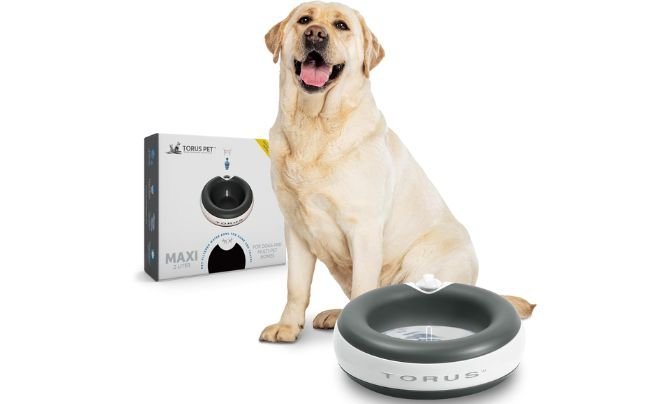 TORUS Filtered Portable Dog Water Dispenser – Best Travel-Friendly Automatic Dog Water Bowl for Medium & Large Breeds