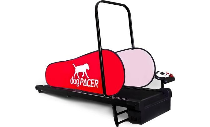 Top 10 Dog Treadmill for Exercise Reviews 1