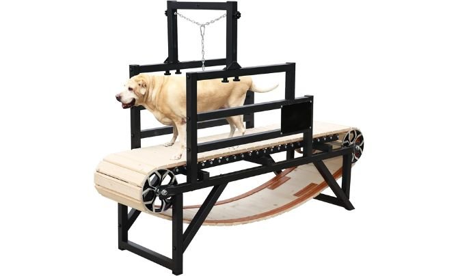 Top 10 Dog Treadmill for Exercise Reviews 10
