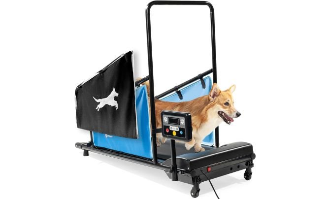 Top 10 Dog Treadmill for Exercise Reviews 2