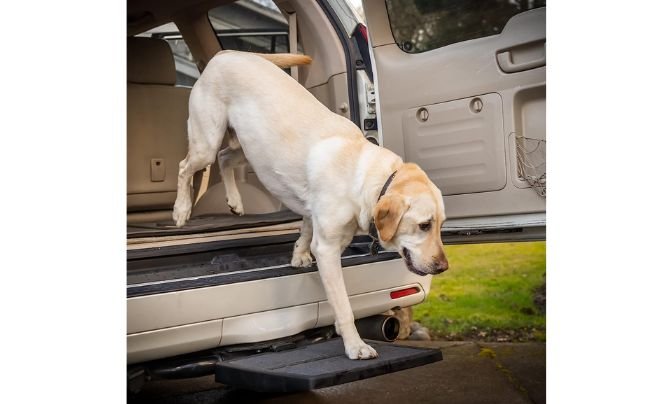 Otto Step Pet Ramp Step Helps Dogs Get in & Out of Car Van SUV