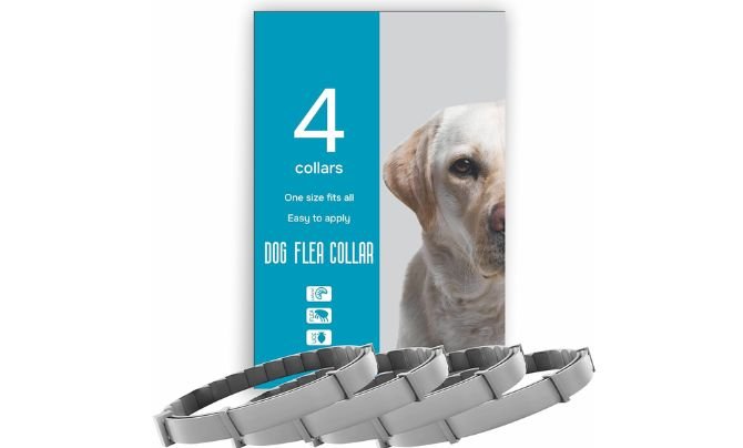 Top 8 Best Flea Collar For Dogs Reviews