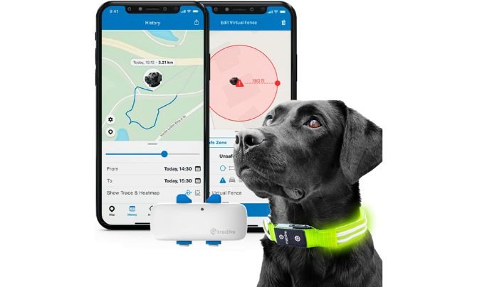 Tractive GPS Pet Tracker with LED Light Up Dog Collar