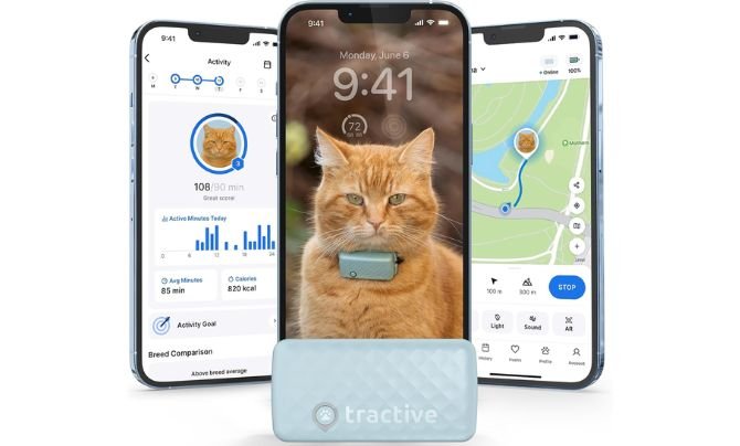 Tractive Smart Cat GPS Tracker (Mint)
