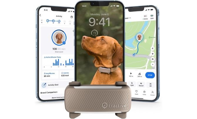 Tractive Smart Dog GPS Tracker (Brown)