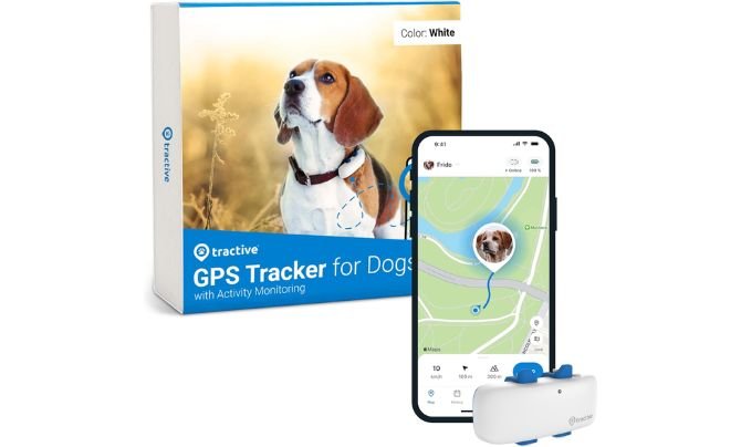Tractive Smart Dog GPS Tracker Review
