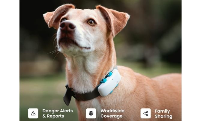 Tractive Smart Dog GPS Tracker (White)