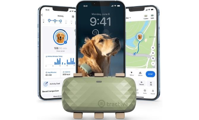 Tractive XL Smart Dog GPS Tracker (Green)
