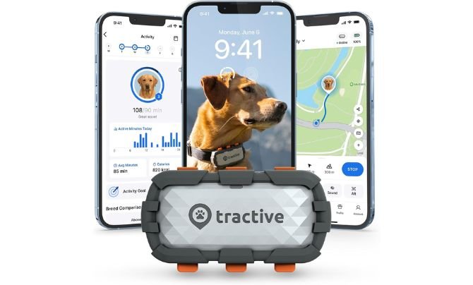 Tractive XL Smart Dog GPS Tracker Review
