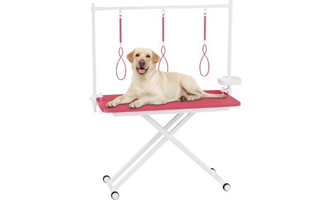 VFK 47" Adjustable Dog Grooming Table
