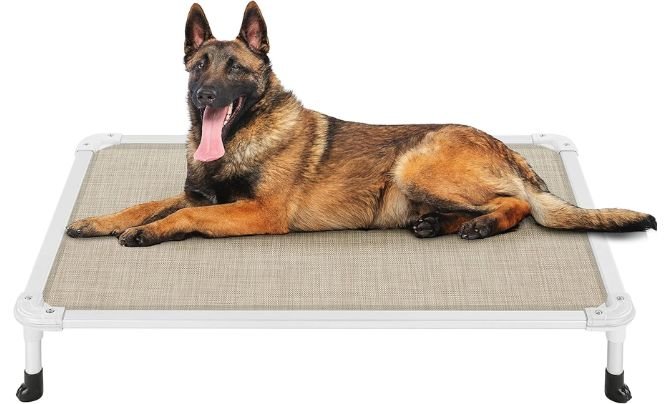 Veehoo Chew Proof Elevated Dog Bed Review – Best Heavy-Duty Raised Dog Bed for Chewers