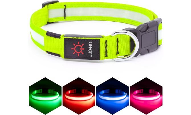 Vizpet LED Dog Collar — Best Adjustable Flashing Dog Collar for All Breeds