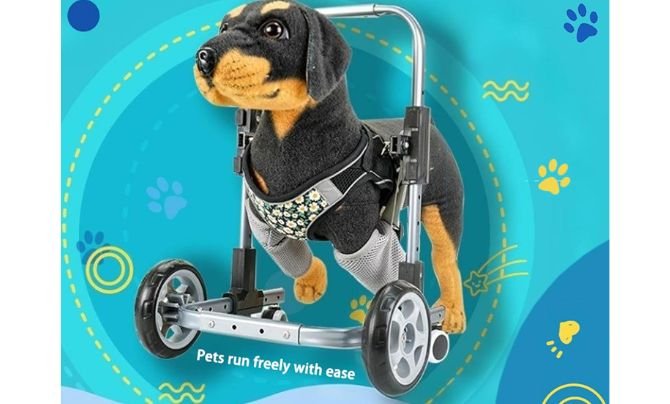Vuirrm Dog Wheelchair for Front Legs