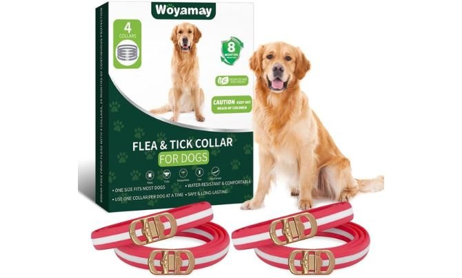 WEALLIN 4 Pack Flea Collar for Dogs