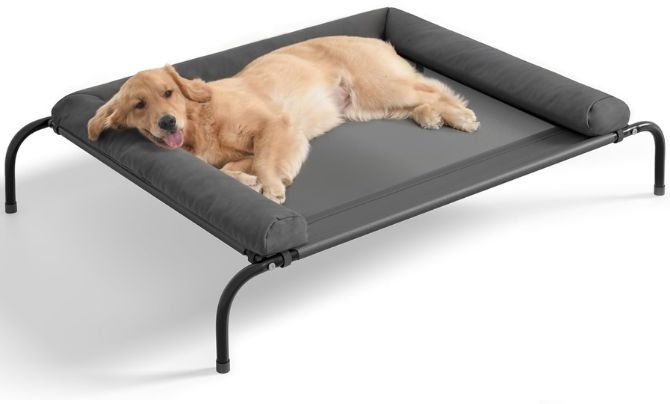 WESTERN HOME Cooling Elevated Dog Bed Review – Best Raised Dog Bed with Bolsters for Extra Comfort