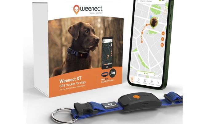 Weenect Dog XT – Best GPS Dog Tracker with Integrated Julius-K9 Collar for XL Dogs
