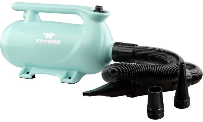 XPOWER B-163 High Velocity Pet Dryer (Mint Green) – 2026 Expert Review