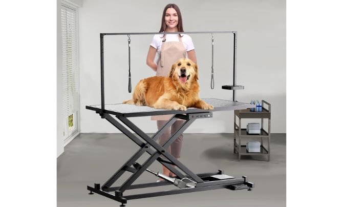 ZenithPower Electric Adjustable Dog Grooming Table