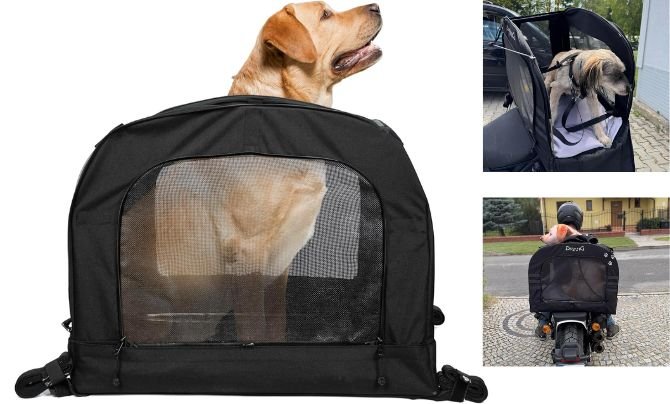 🐕‍🦺 DEEMEED Pet Bag Capsule XL – Best Motorcycle Dog Carrier for Large Dogs up to 36 KG
