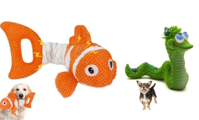 Best Dog Training Toys Reviews