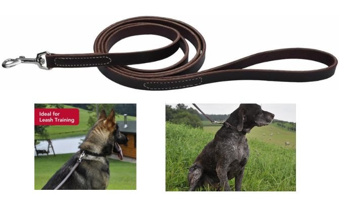 Coastal Pet Circle T Latigo Leather Dog Leash – Best Classic Leather Leash for Durability