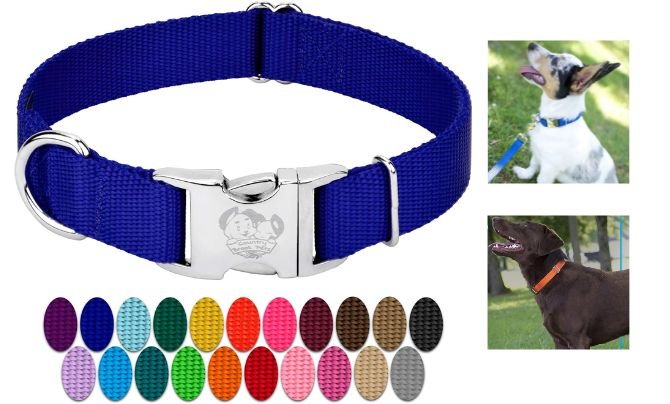 Country Brook Petz Premium Nylon Dog Collar – Best Affordable Nylon Collar for Medium Dogs