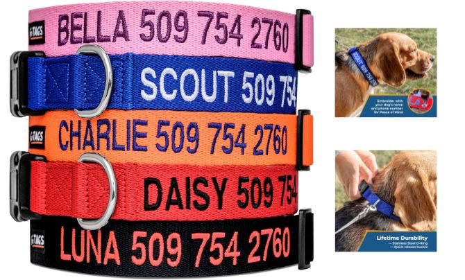 GoTags Personalized Dog Collar – Best Embroidered Collar for Easy Identification