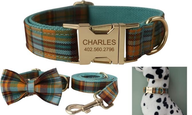HOTGOL Custom Dog Collar – Best Personalized Dog Collar for Identification