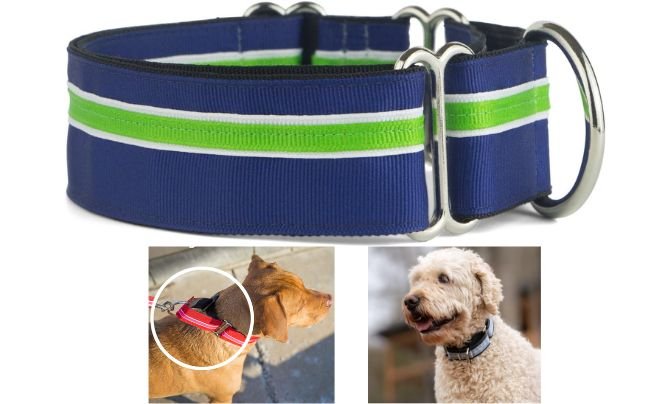 If It Barks Martingale Collar – Best Handmade USA Collar for Training and Control