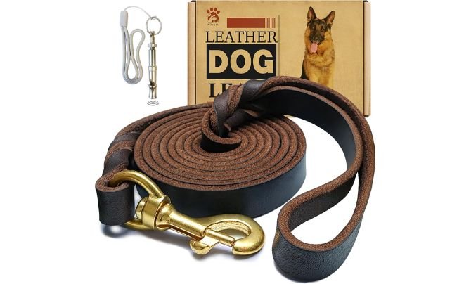 Meruogkar Leather Dog Leash – Best Heavy-Duty Leather Leash for Training
