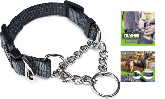 Mighty Paw Martingale Collar – Best Training Collar for Large and Medium Breeds