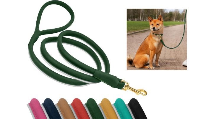 OOPSDOGGY Reflective Rolled Leather Dog Leash – Best Reflective Leather Leash for Safety