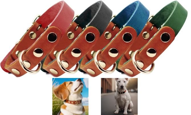 PP COLOR Premium Genuine Leather Dog Collar – Best Stylish Leather Collar for Fashion-Forward Dogs