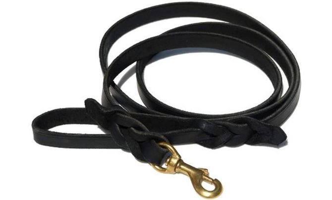 Ray Allen Mfg Signature K9 Braided Leather Leash – Best Professional-Grade Leather Leash for Working Dogs