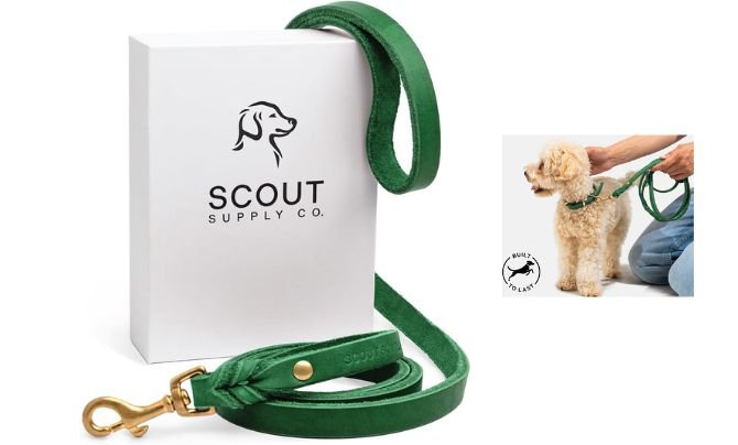 Scout Supply Classic Leather Dog Leash – Best Waterproof Leather Leash for Outdoor Use