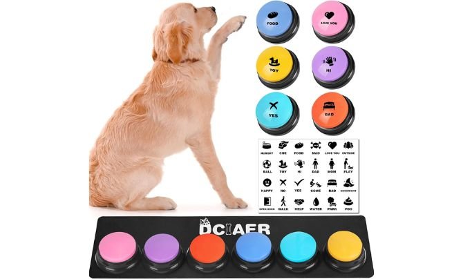 Training Toys for Specific Commands
