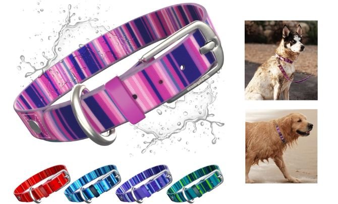 rubyloo Waterproof Dog Collar – Best Waterproof Dog Collar for Outdoor Dogs