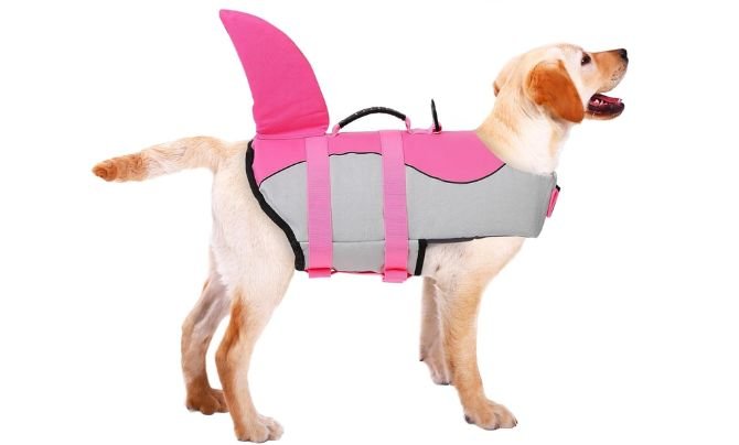 ASENKU Dog Life Jacket – Best Small Dog Life Jacket with Adorable Shark Design