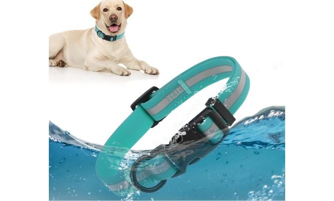 DILLYBUD Waterproof Dog Collar – Best Lightweight Waterproof Collar for Small to Medium Dogs