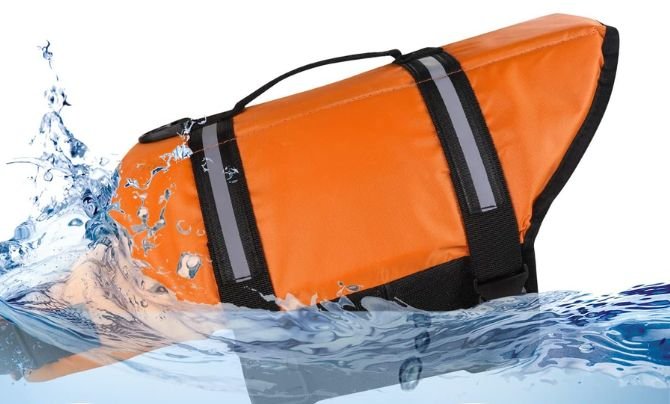 HAOCOO Dog Life Jacket – Best Budget-Friendly Small Dog Life Jacket with Safety Features