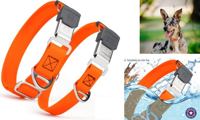 RandStark Biothane Waterproof Dog Collar – Best Premium Biothane Collar with Herm Sprenger ClicLock for Medium & Large Dogs